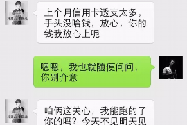 秦皇岛专业讨债公司有哪些核心服务？